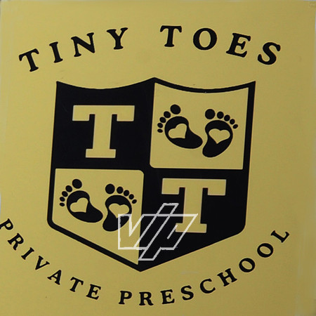 tiny toes logo-002