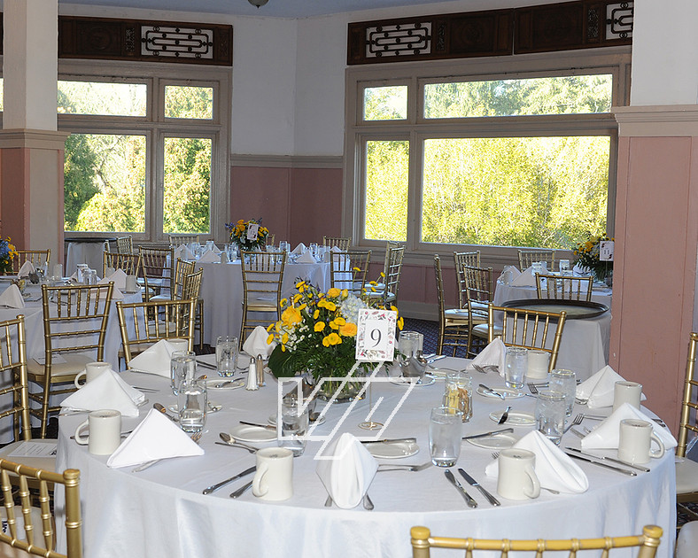 VIP STUDIOS Inc. | 50 YEAR Member Celebration -April 26, 2024