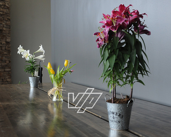CC_Easter_441