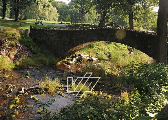 2024-Strode_017