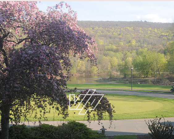 MCRC-springdinner_325