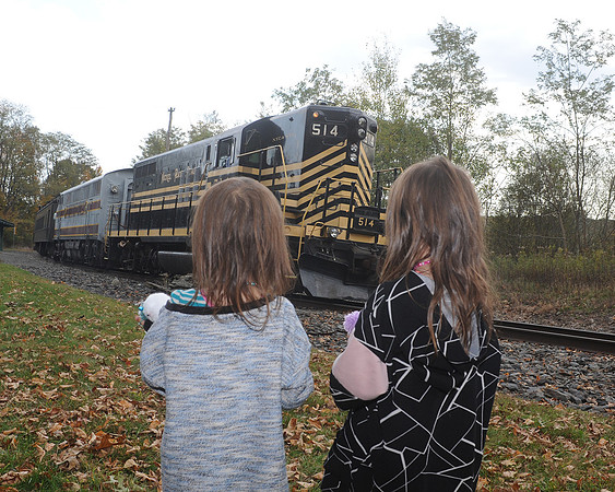 BTHS-Train_202